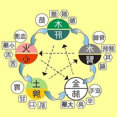 五臟 五行